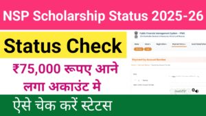 NSP Scholarship Status check