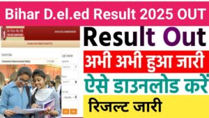 Bihar DElEd Result 2025 OUT